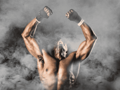 MMA Gürtel Test: Die 11 besten (Bestenliste)