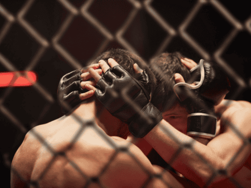 MMA Protektoren Test: Die 11 besten (Bestenliste)