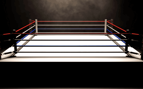 Boxring Set Test: Die 5 besten (Bestenliste)